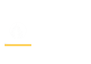 Moonlight Lodging